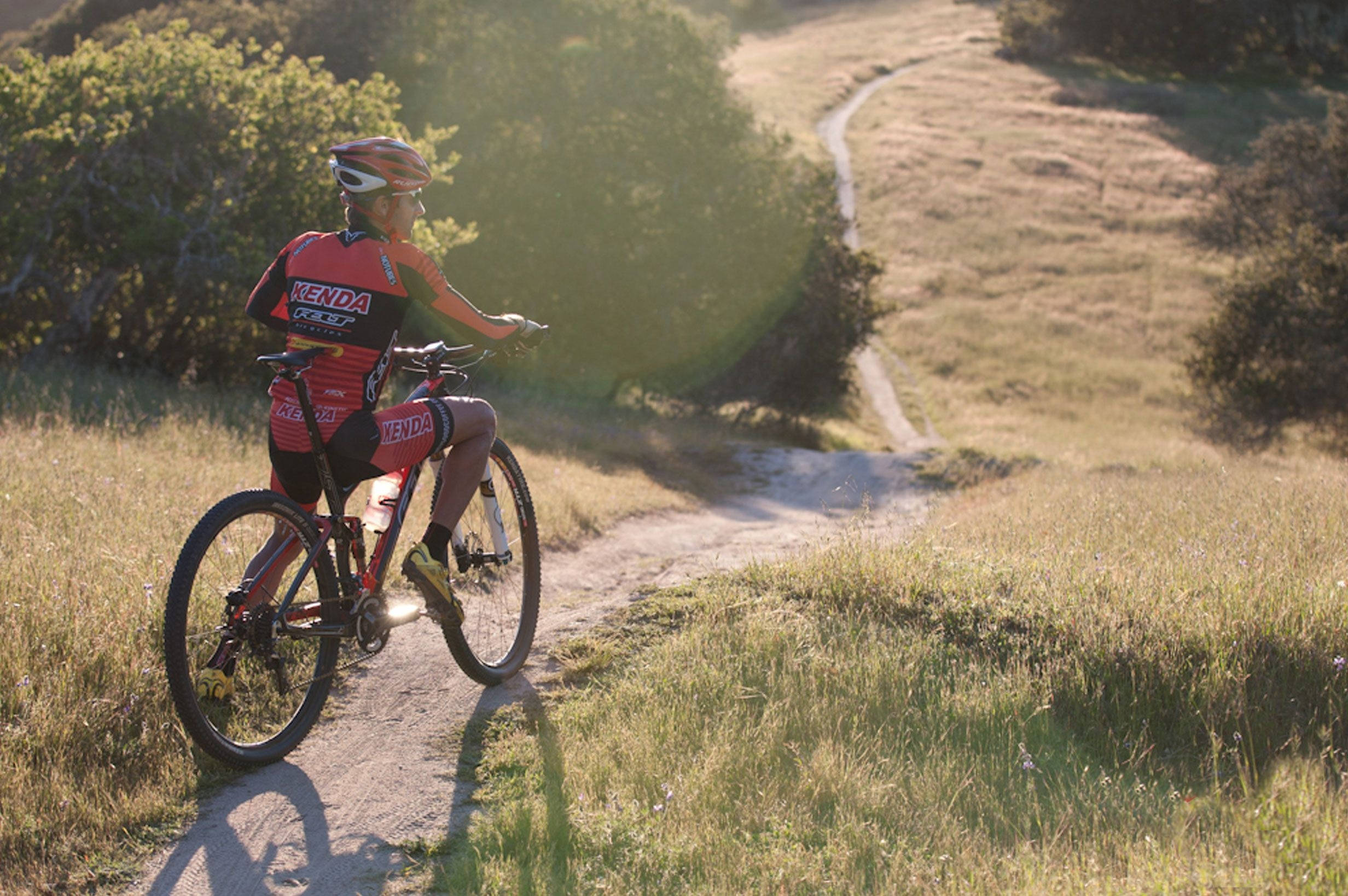 Thick Road Grassland Mtb Ride Wallpaper