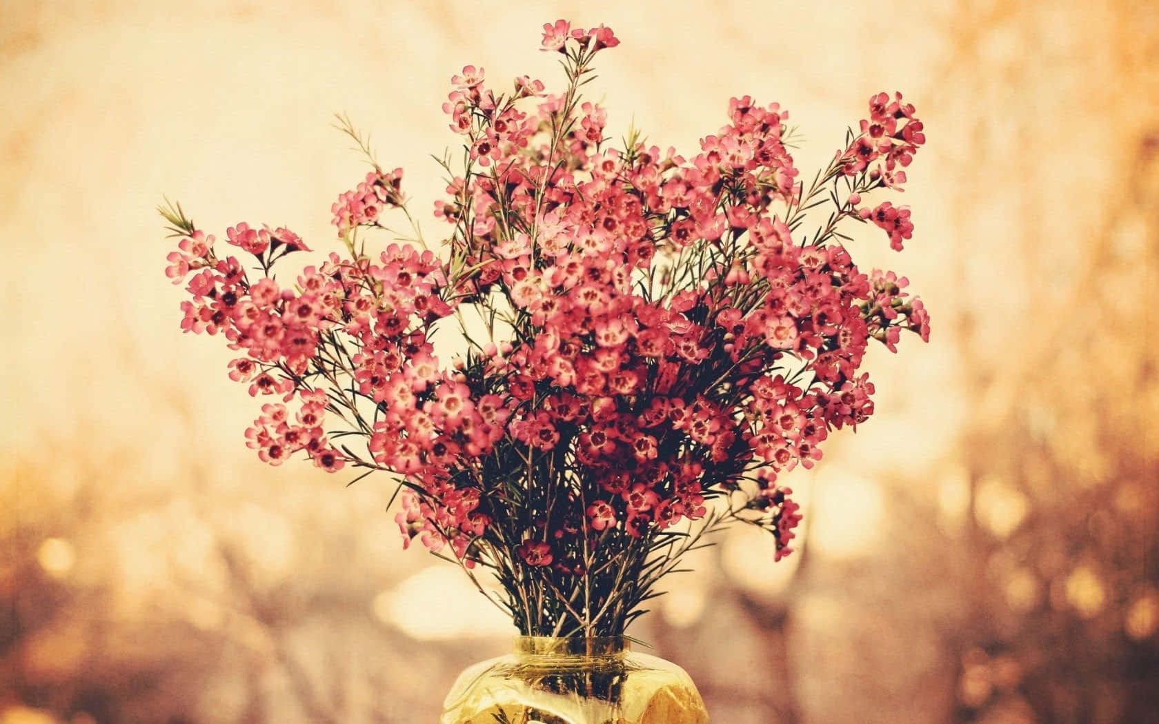 This Gorgeous Flower Arrangement Will Add Beauty To Any Home Wallpaper