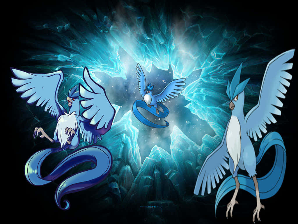 Three Graphics Of Articuno Wallpaper