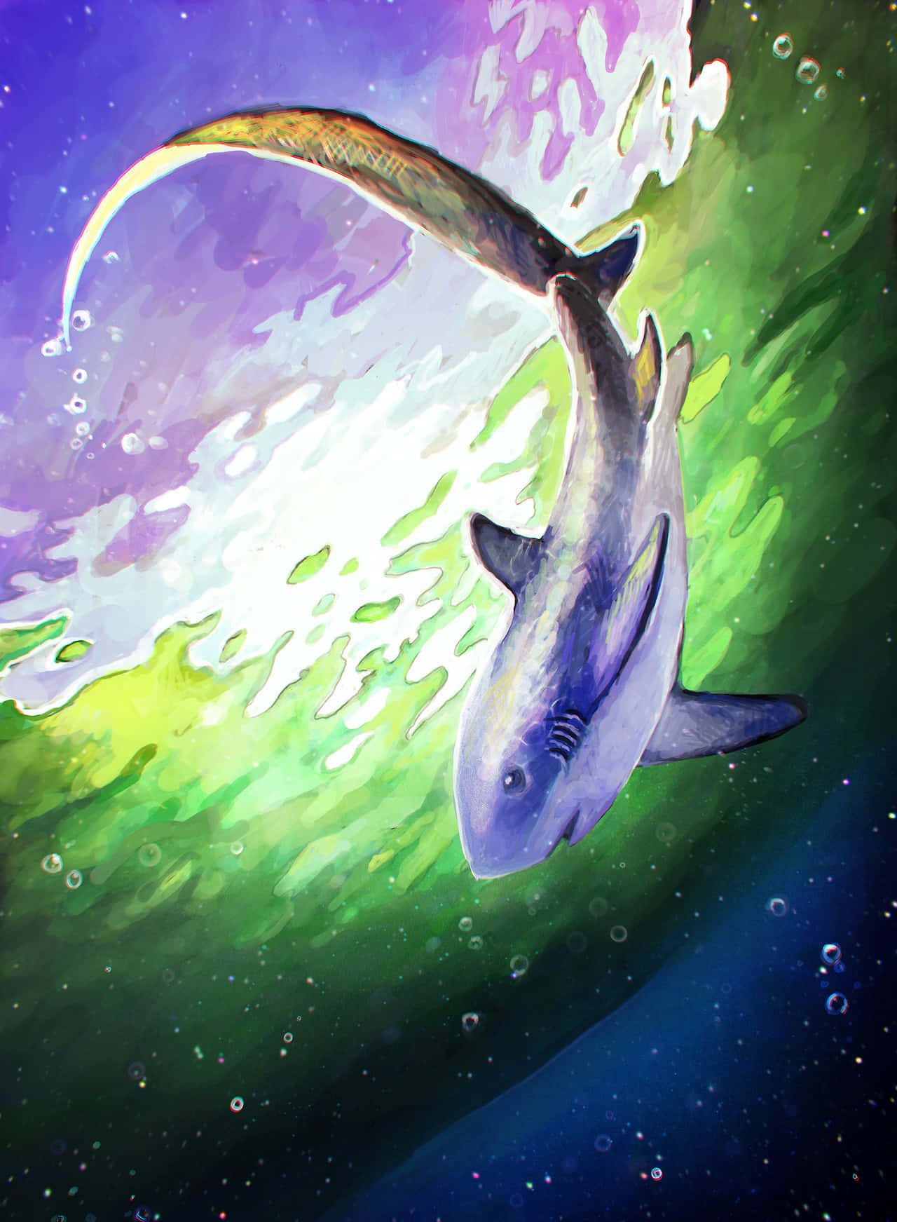 Thresher Shark Illustration Wallpaper