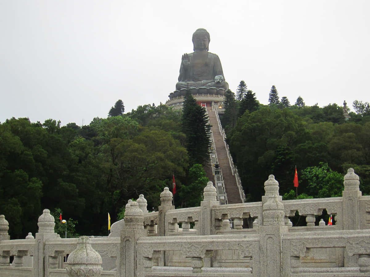 Tian Tan Buddha Wallpaper