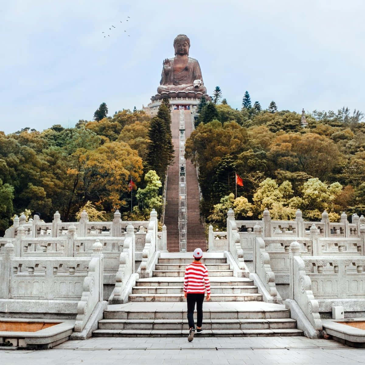 Tian Tan Buddha Wallpaper