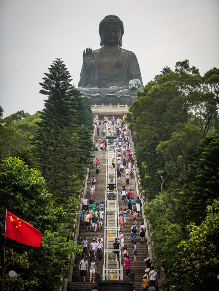 Tian Tan Buddha Wallpaper