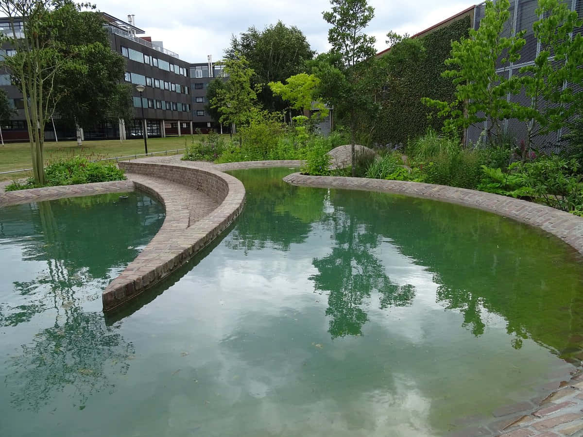 Tilburg Modern Water Feature Urban Green Space Wallpaper