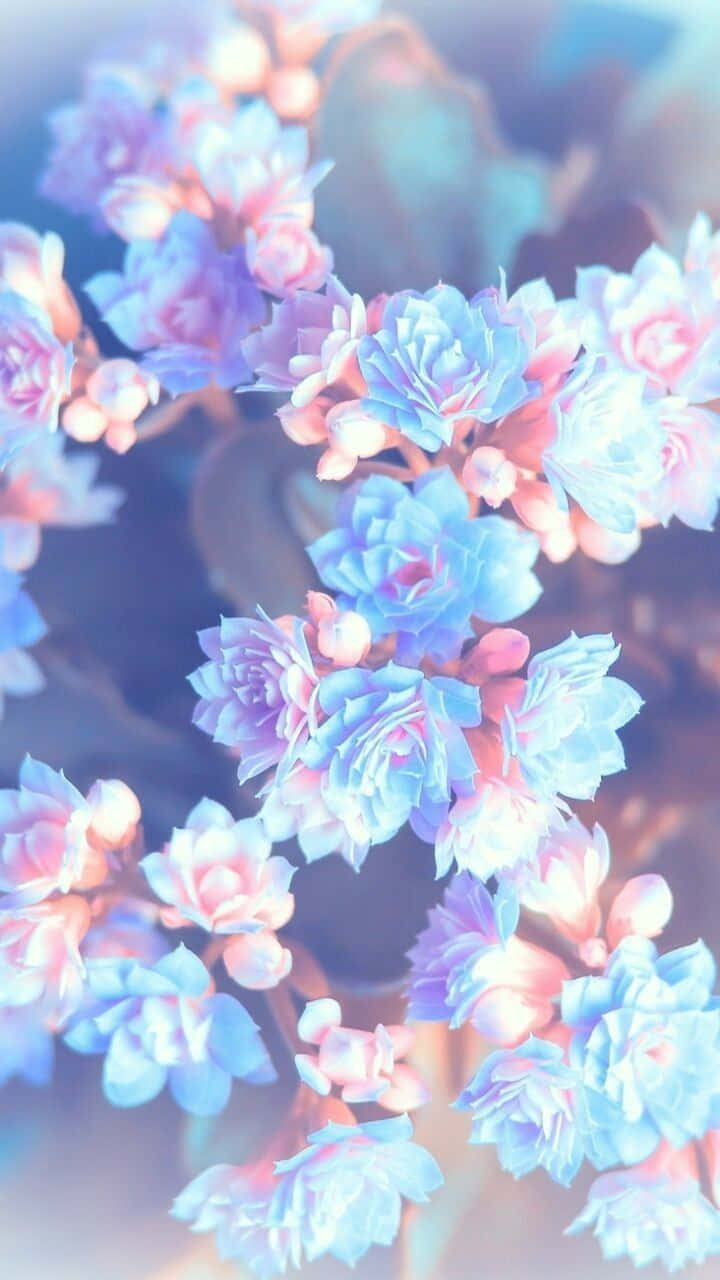 Time Stands Still For This Beautiful Anime Flower Wallpaper