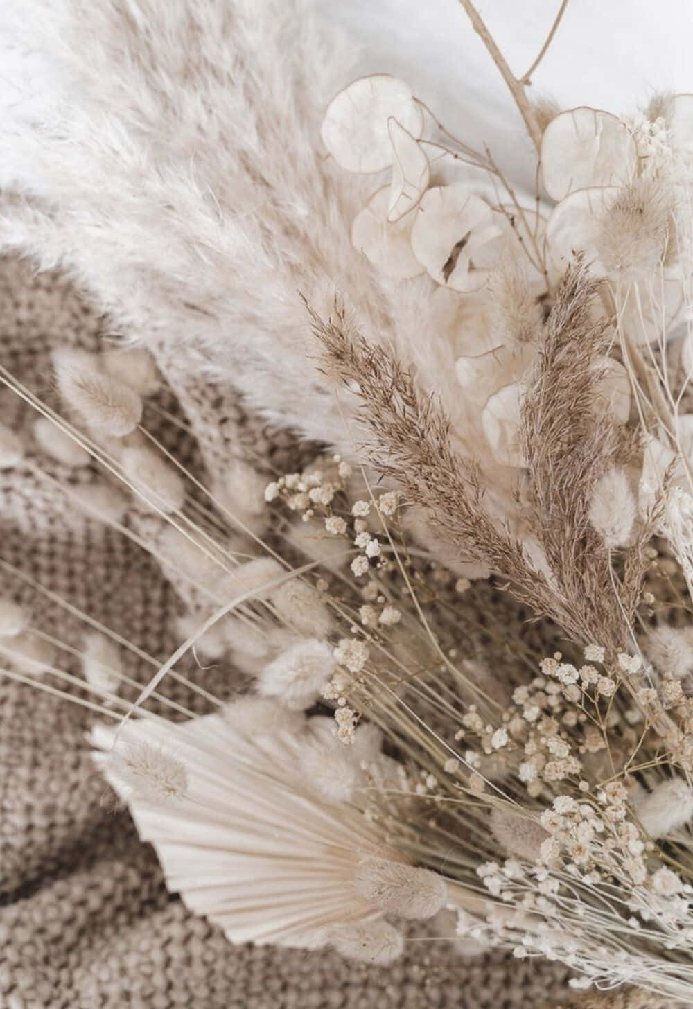 Timeless Beauty Of Dried Flowers Wallpaper