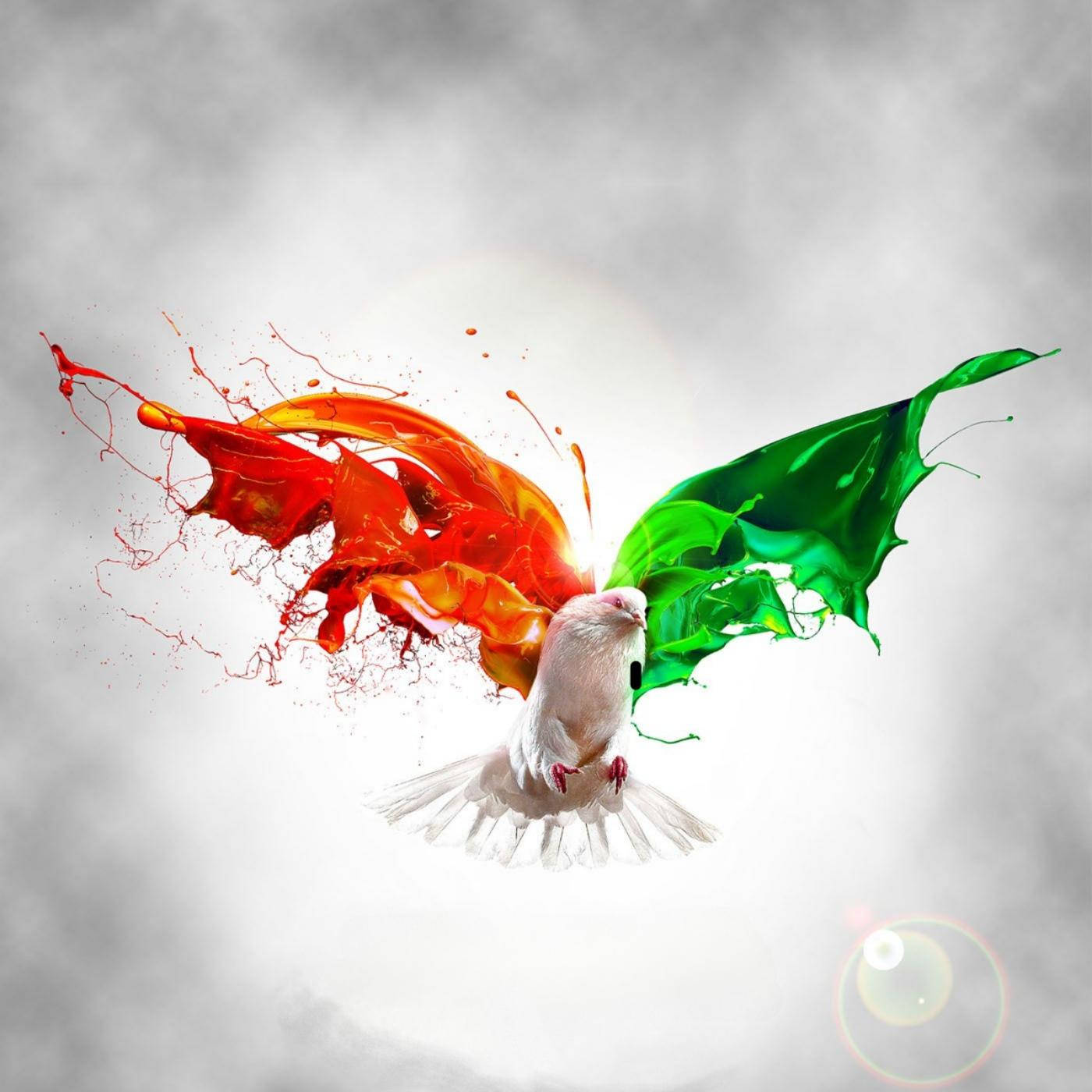 Tiranga Bird Wallpaper