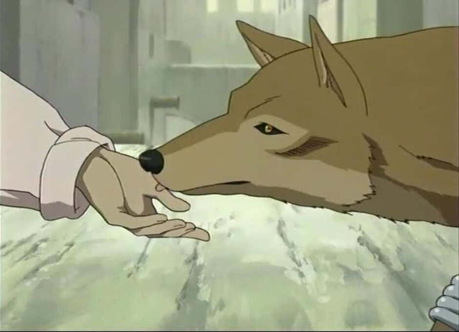 Toboe From Wolf's Rain Howling By A Waterfall Wallpaper