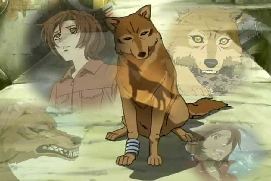 Toboe From Wolf's Rain Standing In The Moonlight Wallpaper