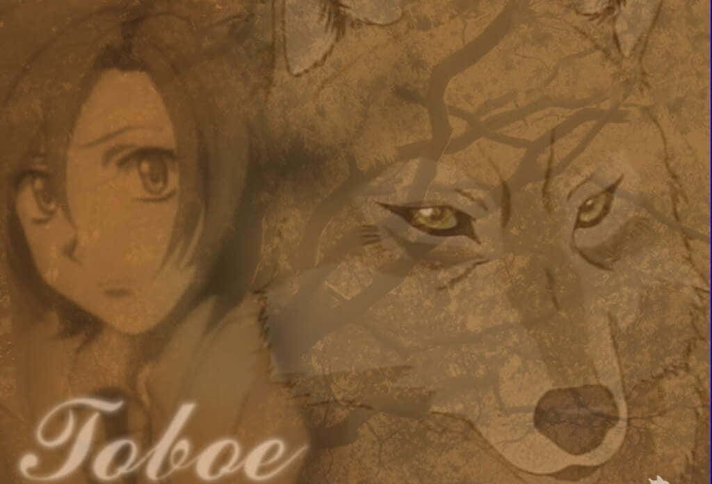 Toboe, The Young Crimson-eyed Wolf In Forest - Wolf's Rain Wallpaper