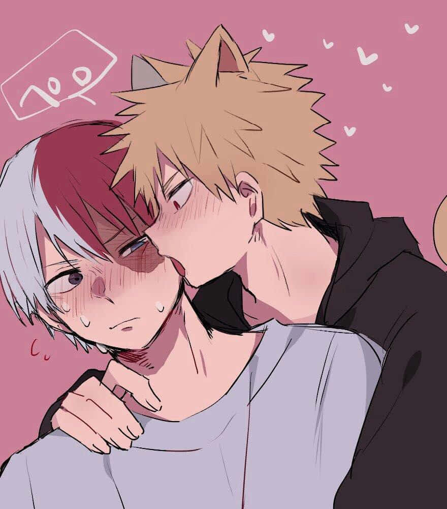 Todobaku Cat Boy My Hero Academia Wallpaper