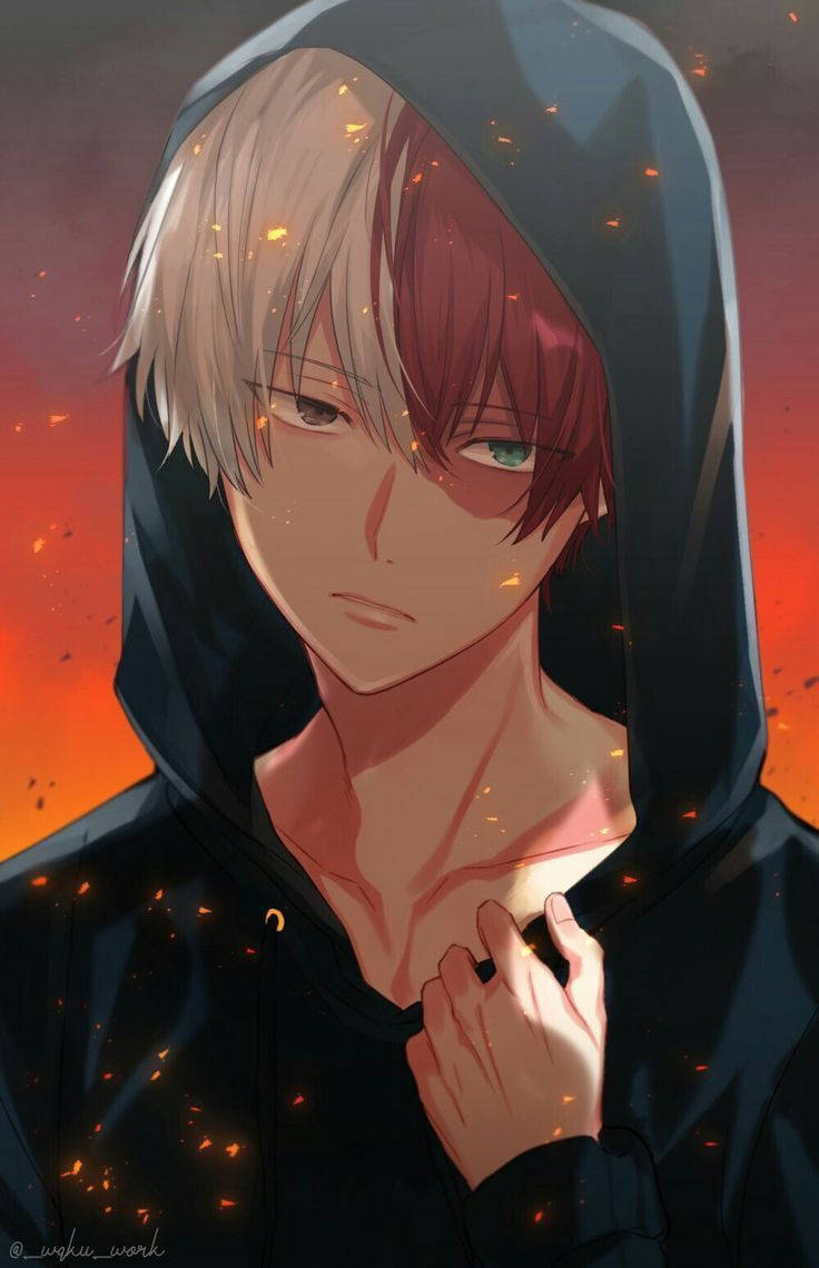 Todoroki Cute Hoodie Art Wallpaper