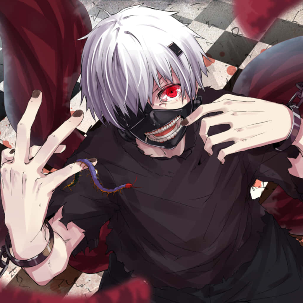 Tokyo Ghoul Pfp Kaneki Ken Awesome Wallpaper