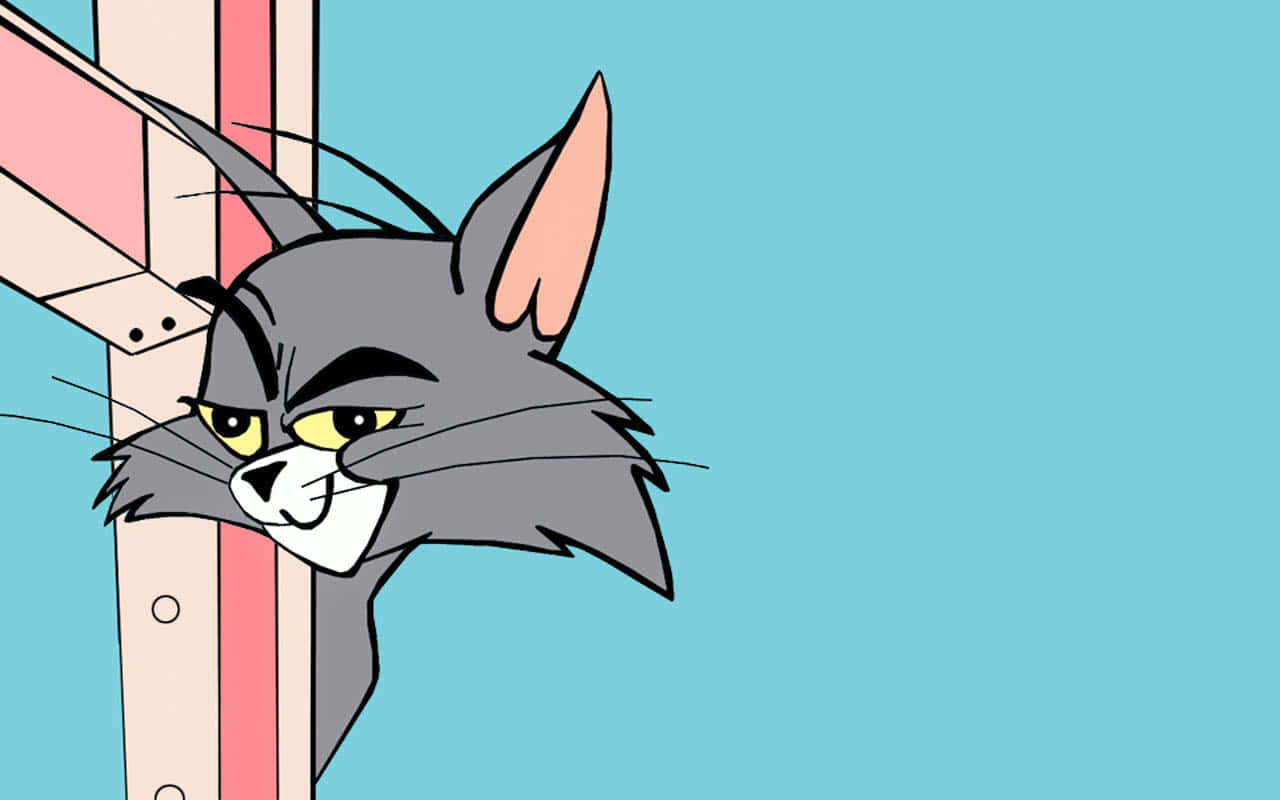 Tom And Jerry Make A Funny Face. Wallpaper