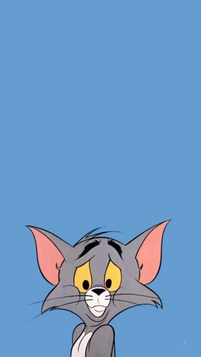 Tom Cat Cartoon Phone Wallpaper