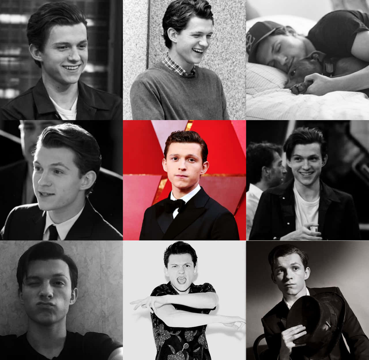 Tom Holland Looking His Best Wallpaper