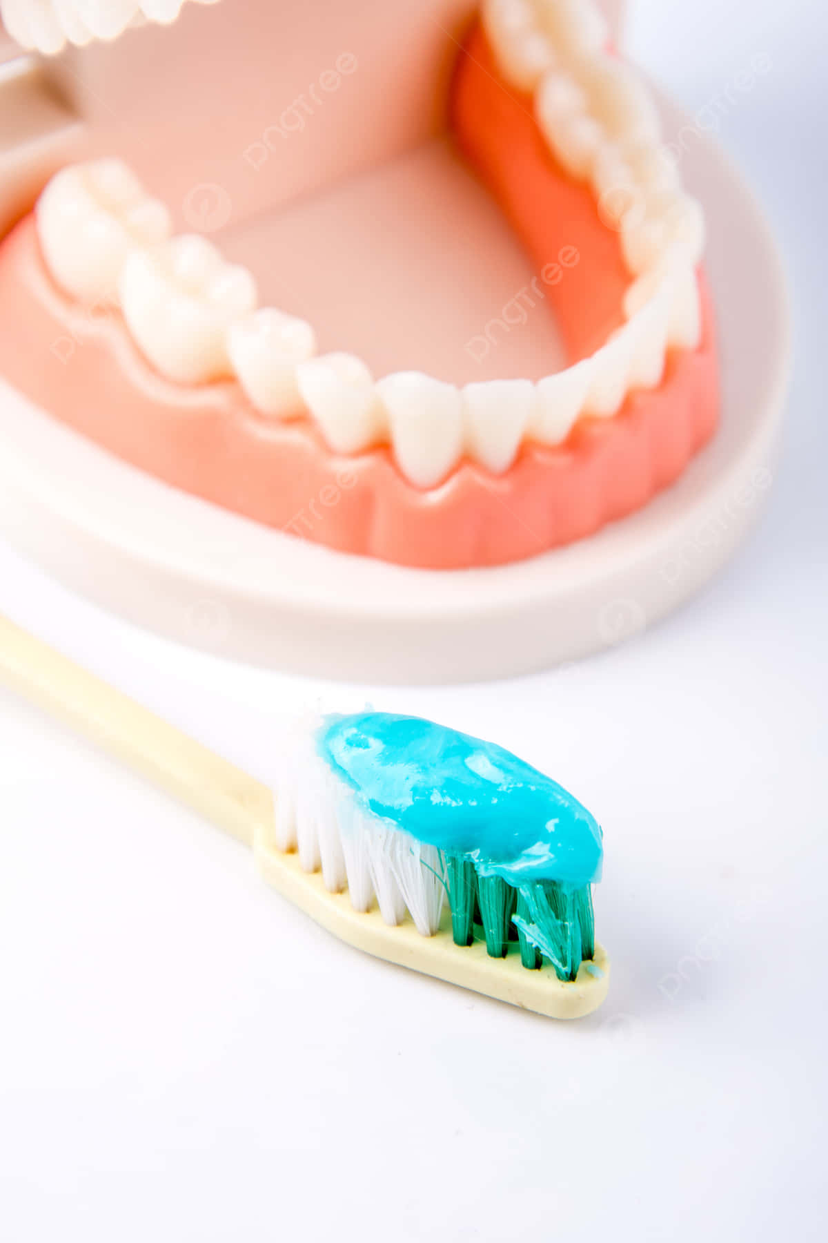 Toothbrushwith Toothpasteand Dental Model Wallpaper