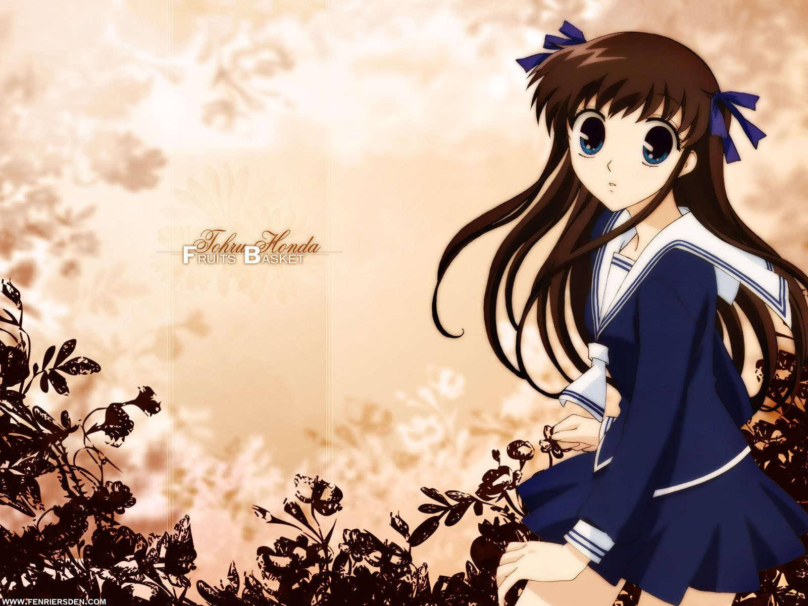 Top Anime Fruits Basket Tohru Honda Wallpaper