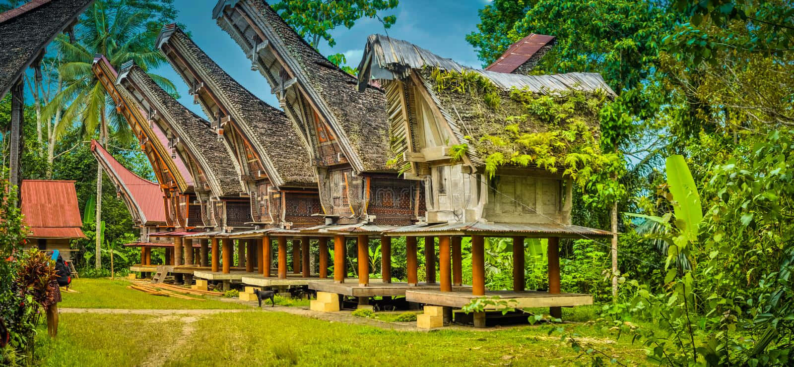 Toraja Huts In Sulawesi Wallpaper