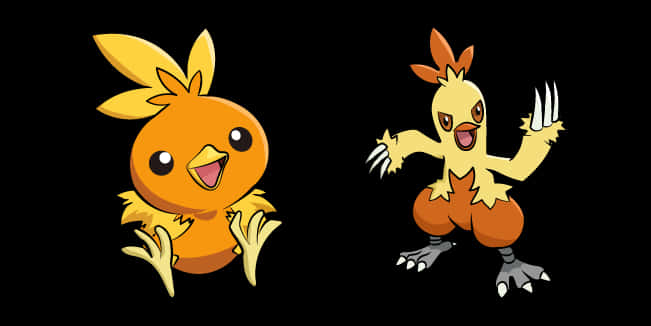 Torchic Combusken Bring It On Wallpaper