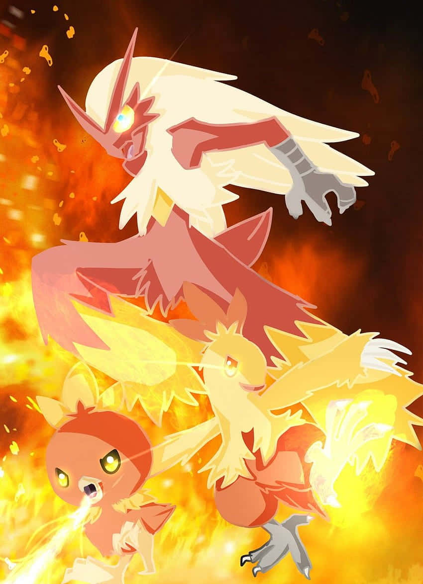 Torchic Pokemon Evolution Stages Illustration Wallpaper