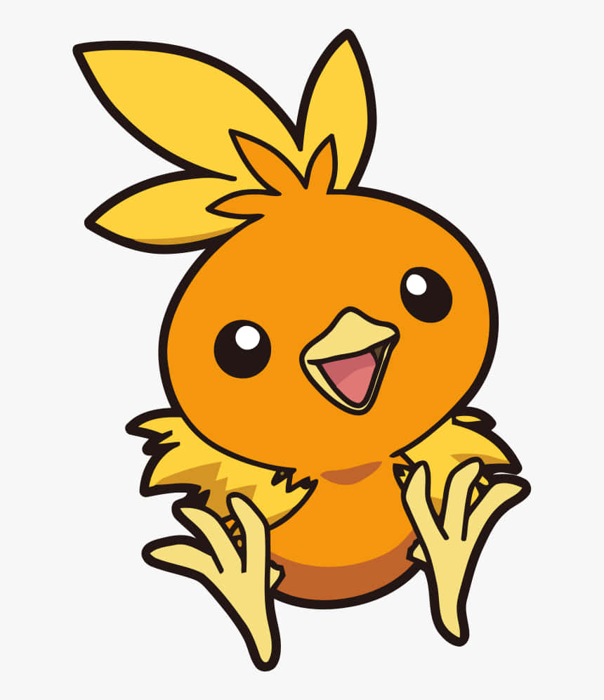 Torchic Pokemon On White Background Wallpaper