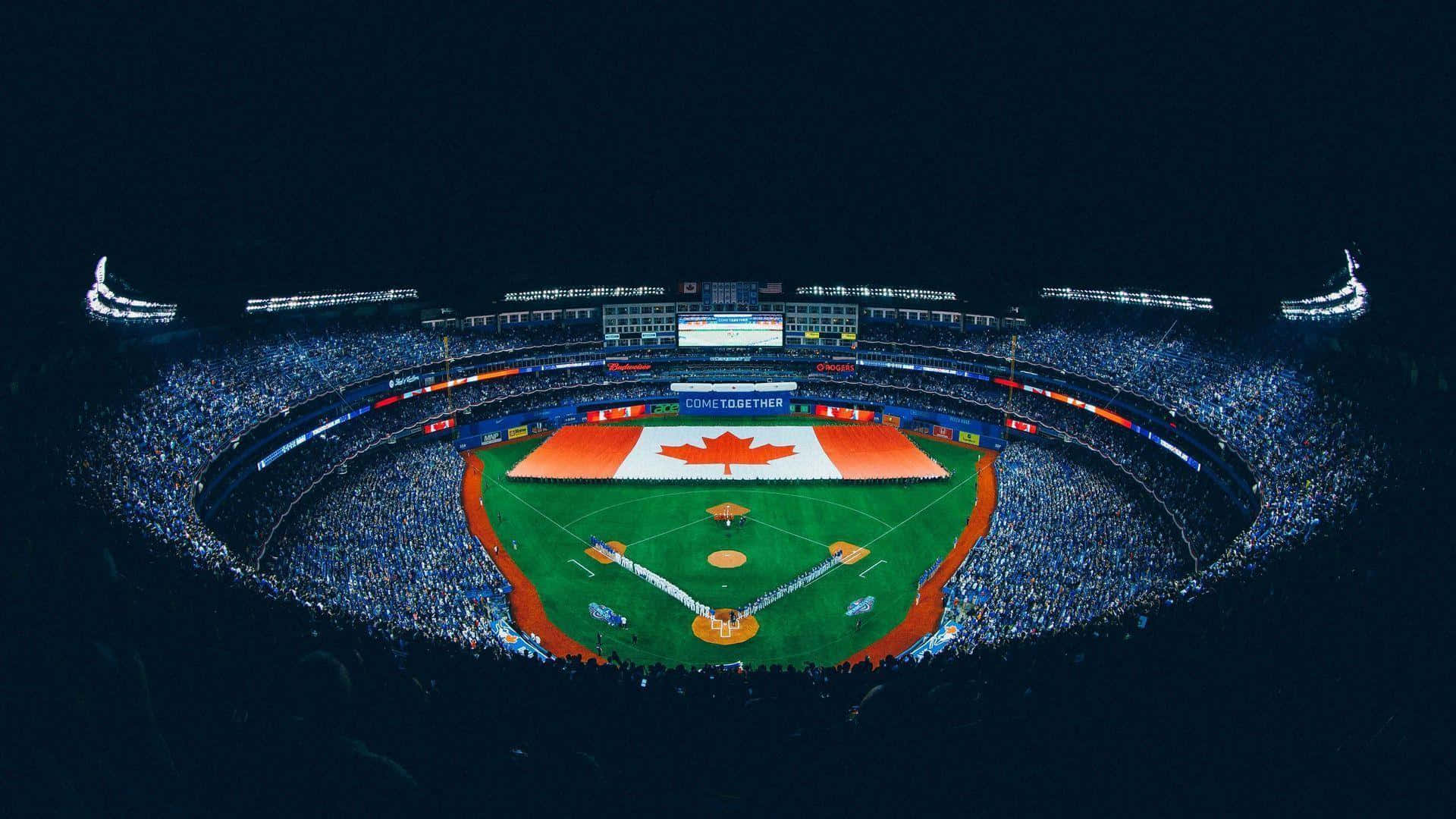 Toronto Blue Jays Win One For The Fans Wallpaper