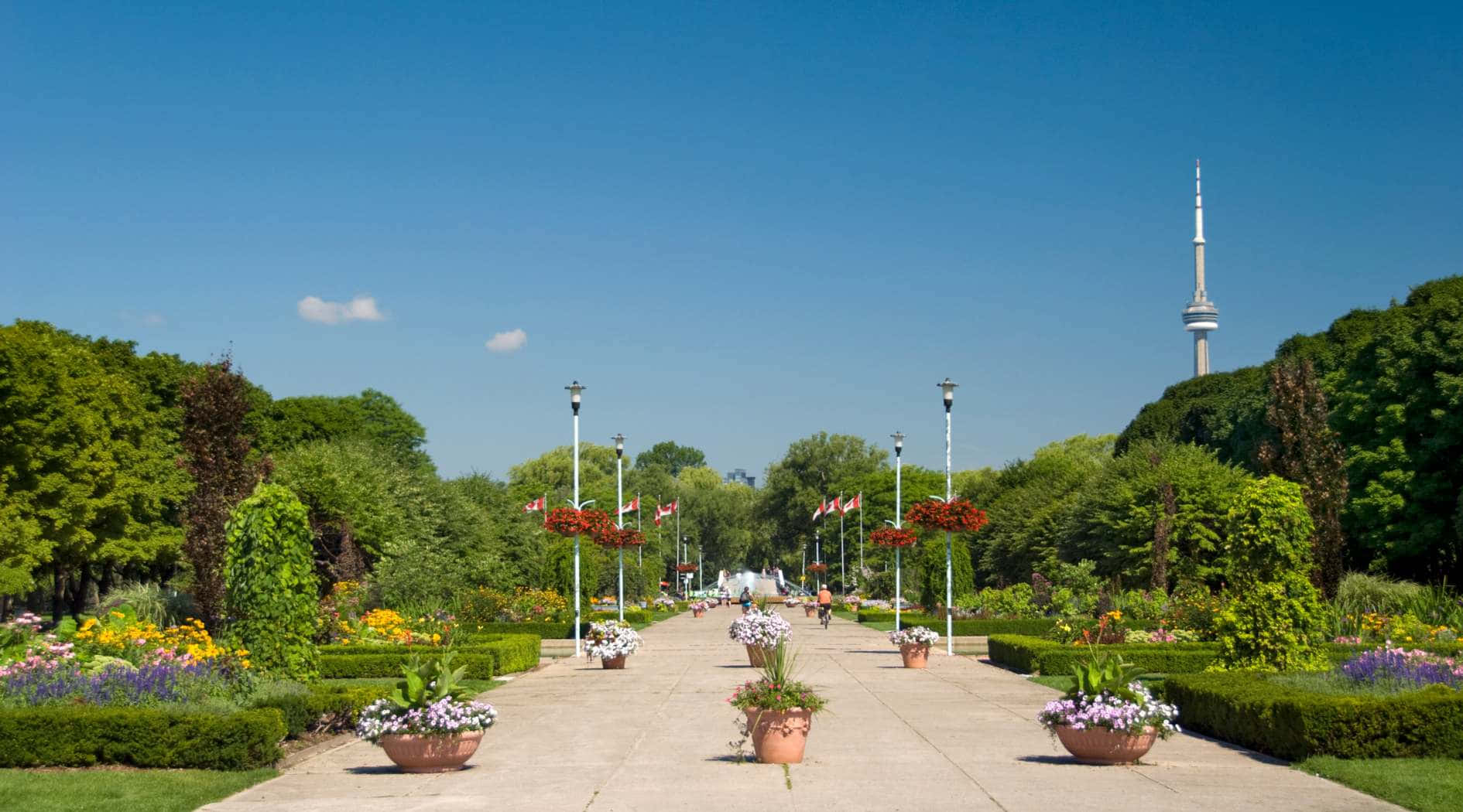 Toronto_ Islands_ Garden_ Path_with_ C N_ Tower_ View Wallpaper