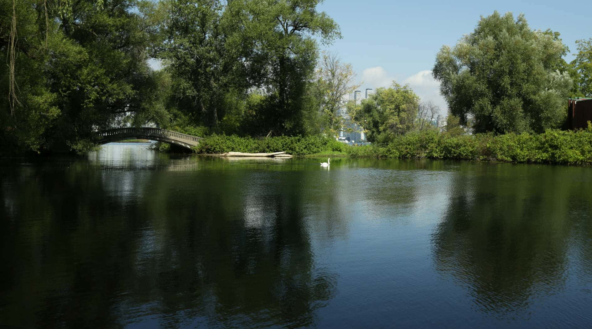 Toronto_ Islands_ Serene_ Waterway Wallpaper