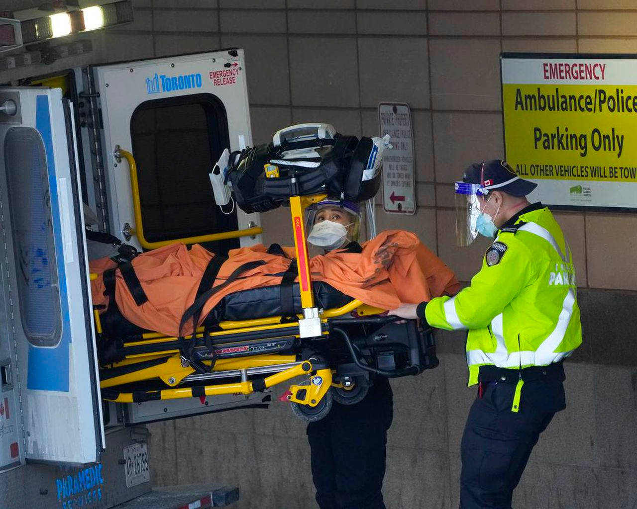 Toronto Paramedic Aiding Patient Transfer Wallpaper