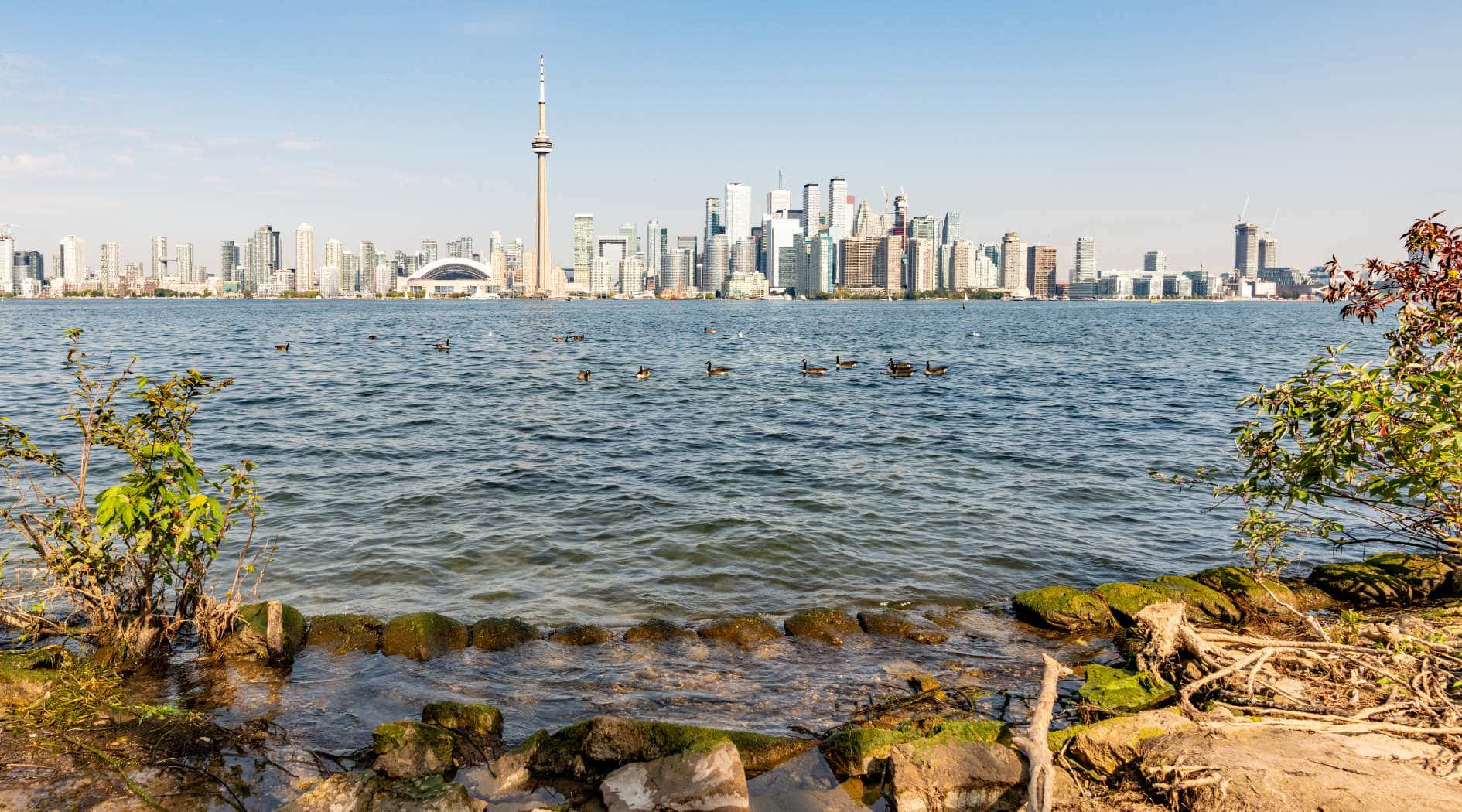 Toronto Skyline Viewfrom Toronto Islands Wallpaper