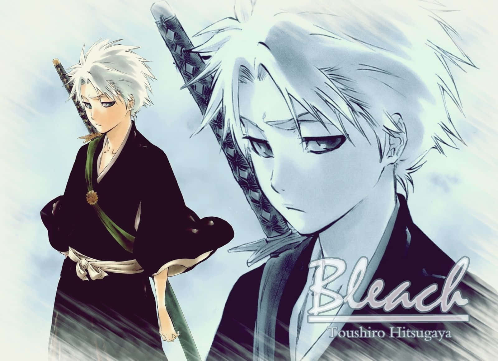 Toshiro Hitsugaya, Captain Of The Gotei 13 Wallpaper