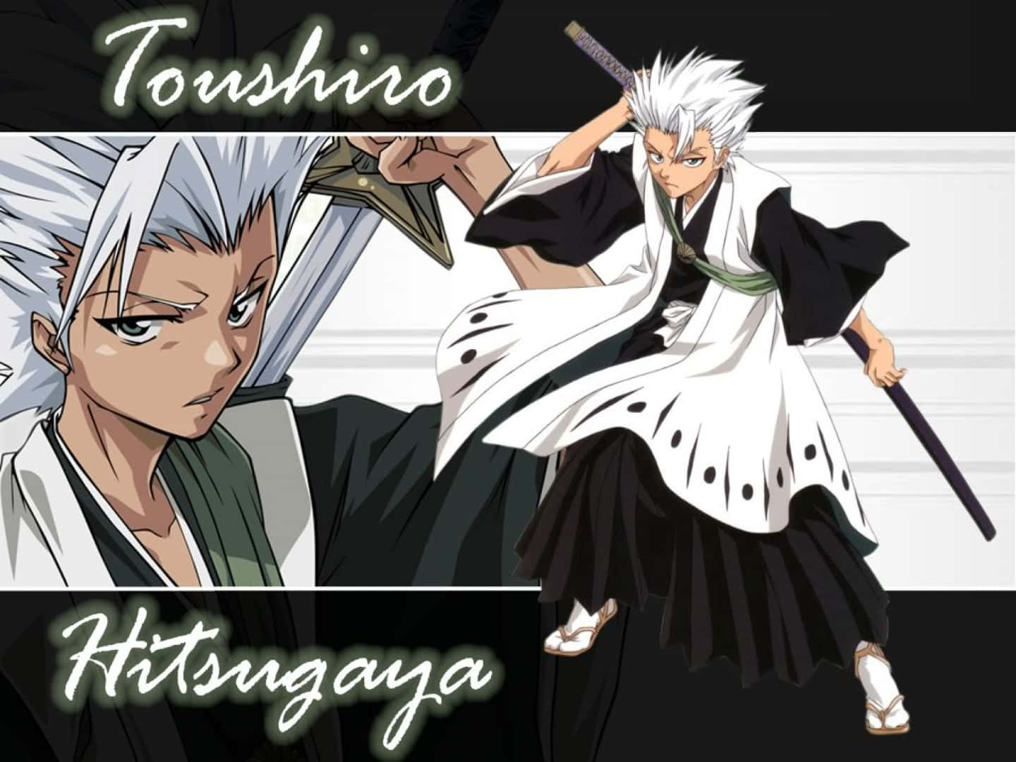 Toshiro Hitsugaya From The Popular Anime Series Bleach. Wallpaper