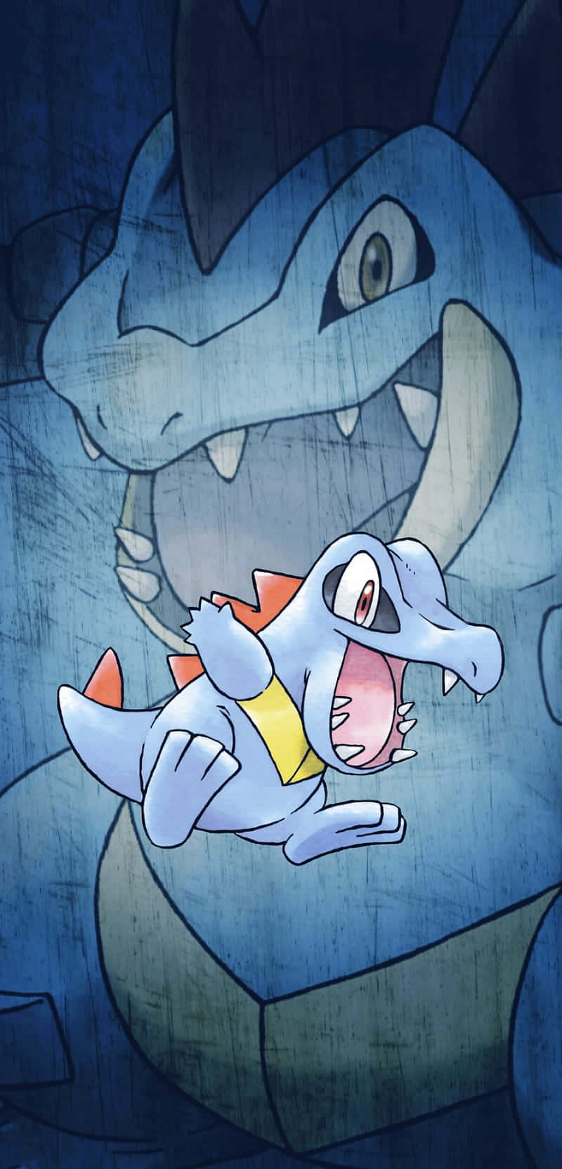 Totodile And Feraligatr Wallpaper