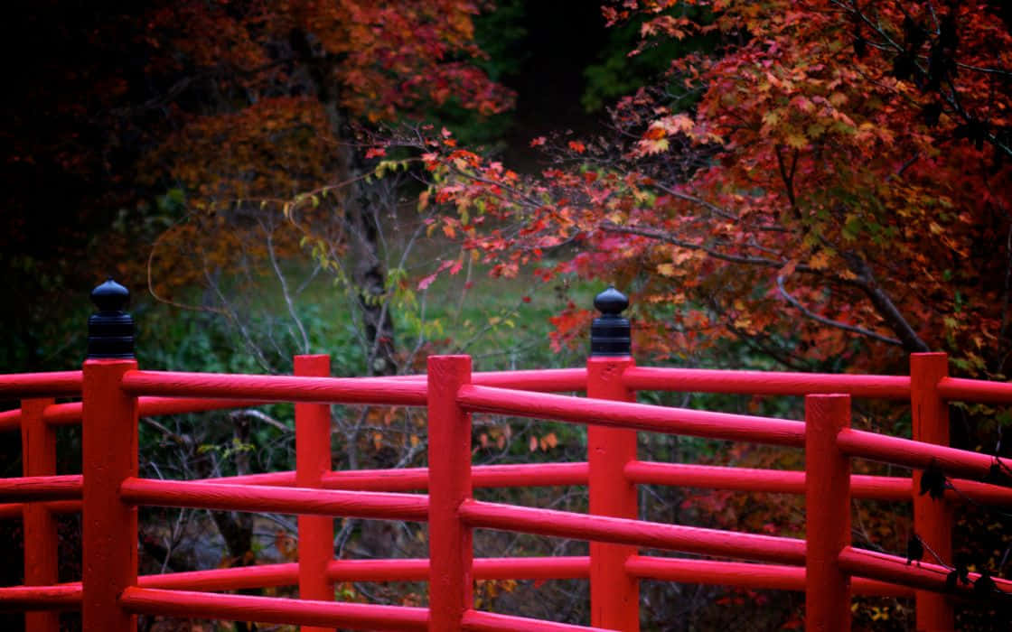 Traditional Japanese Styles In A Red Hue Wallpaper