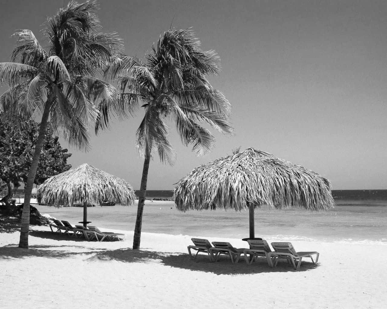 Tranquil Black And White Beach Scene Wallpaper