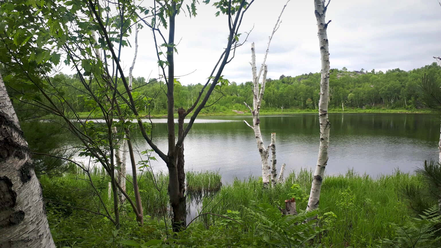 Tranquil Lake View Sudbury Wallpaper