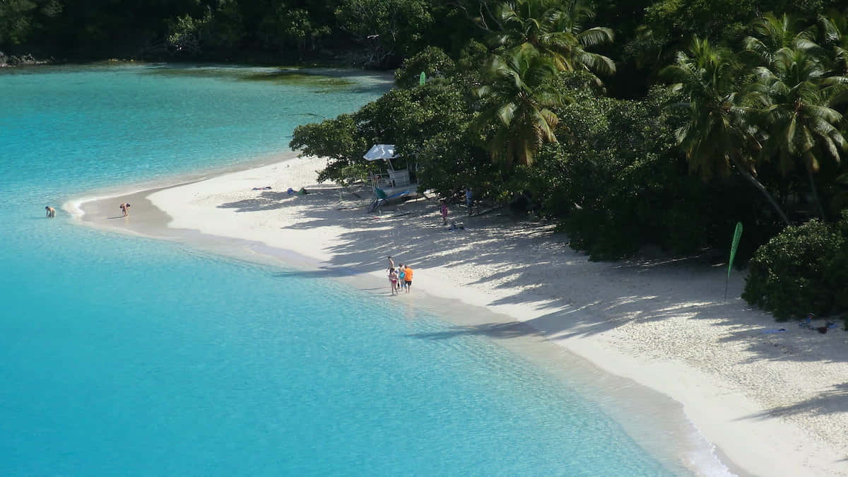 Tranquil Paradise In The Caribbean Wallpaper