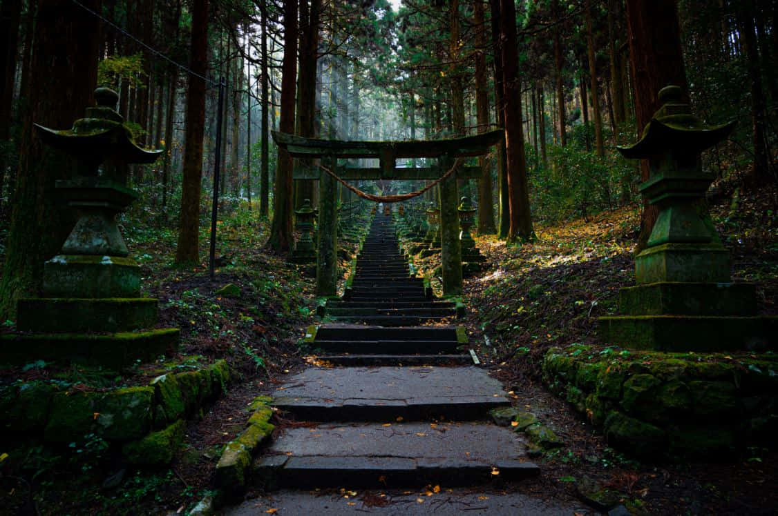 Tranquil Shinto Shrine In A Serene Forest Wallpaper