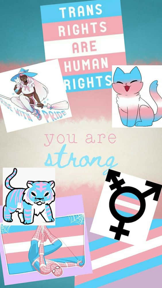 Trans Rights Are Human Rights You Are Straits Wallpaper