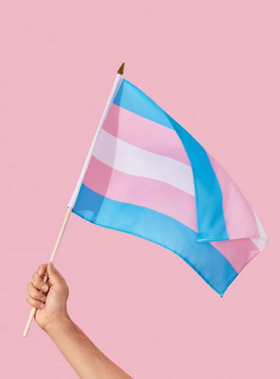 Transgender Flag Held Up High Trans Phone Wallpaper