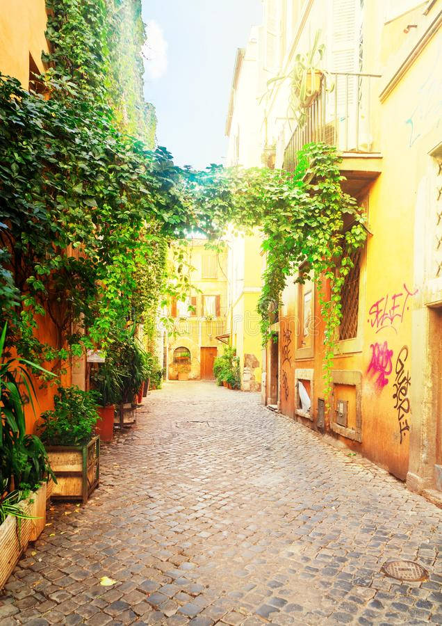 Trastevere Street In Rome Wallpaper