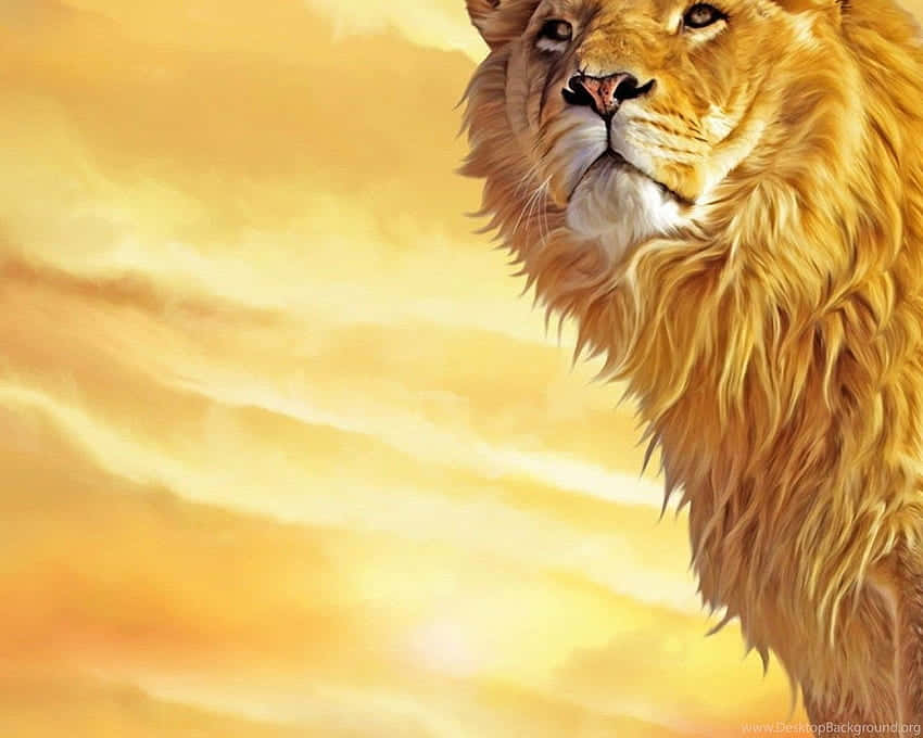 Tremendous Head Of A Lion Wallpaper