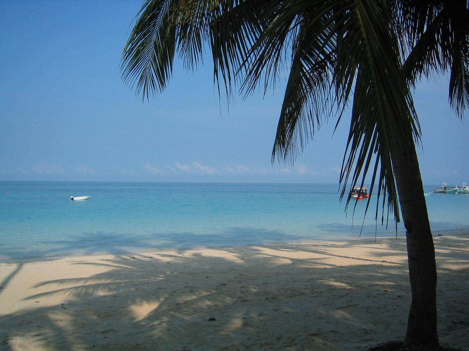 Trinidad And Tobago Pigeon Point Wallpaper