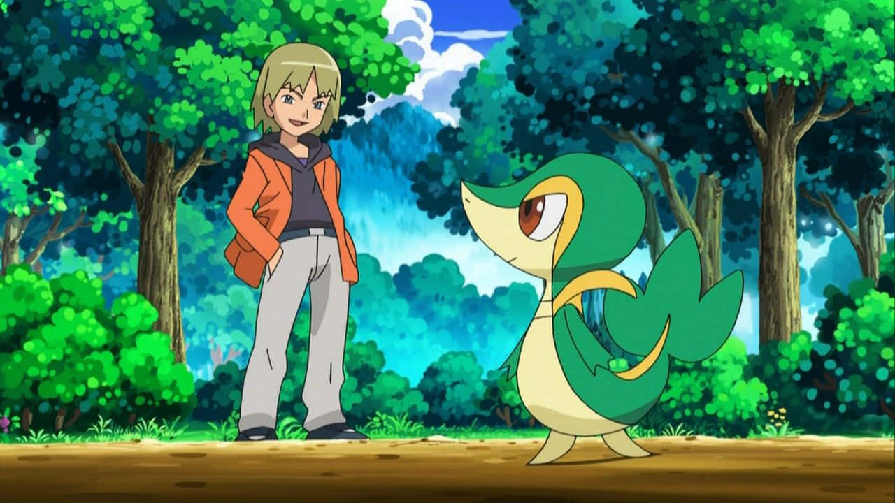 Trip Talking To Snivy Wallpaper