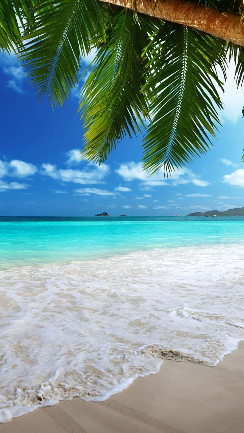 Tropical Beach Paradise Wallpaper