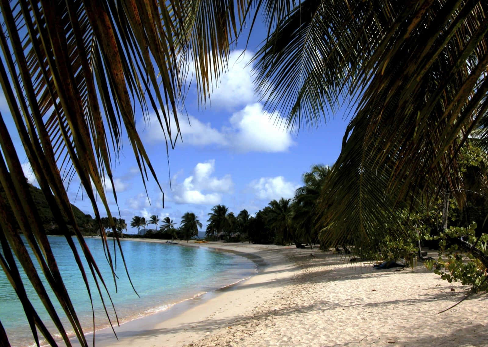 Tropical Beach Paradise St Vincent And Grenadines Wallpaper