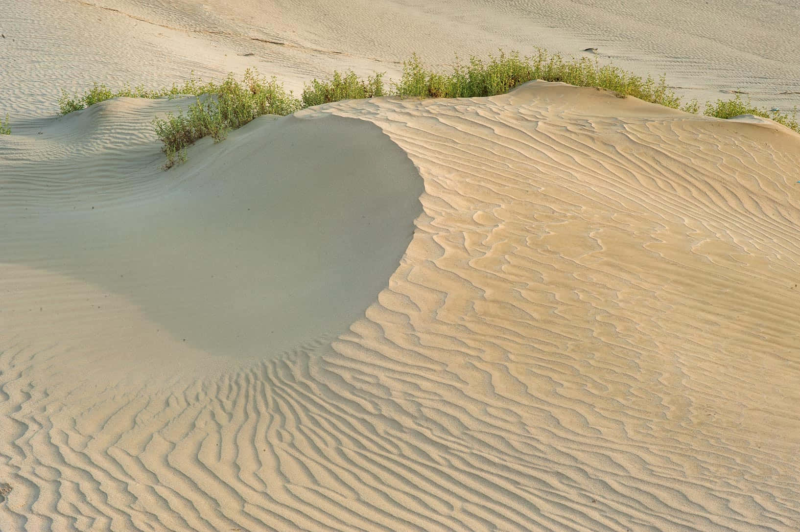 Tropical Beach Paradise With Golden Sand Wallpaper