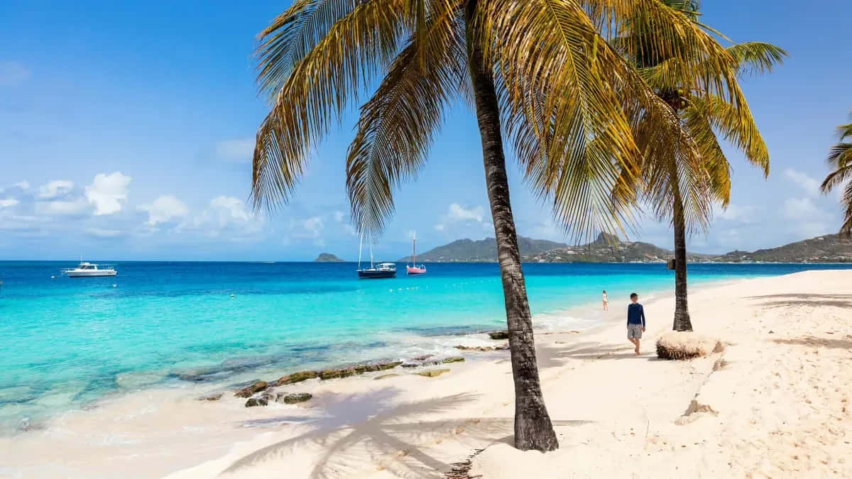 Tropical Beach Saint Vincent And The Grenadines Wallpaper