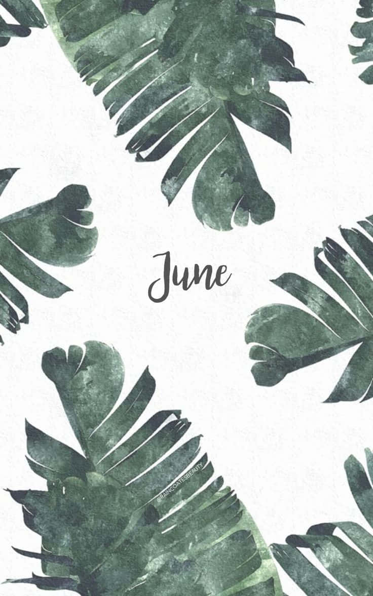 Tropical June Watercolor Leaves Wallpaper